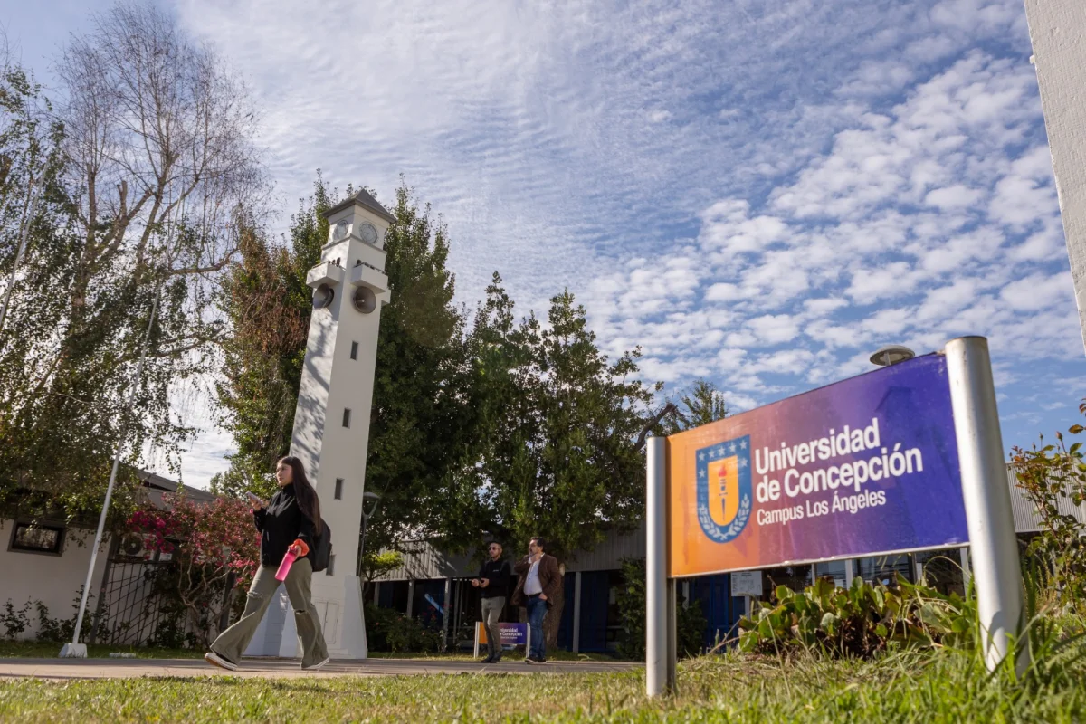 Programa de postgrado UdeC fortalece formación docente en Biobío con alianzas y beneficios para profesionales de la educación