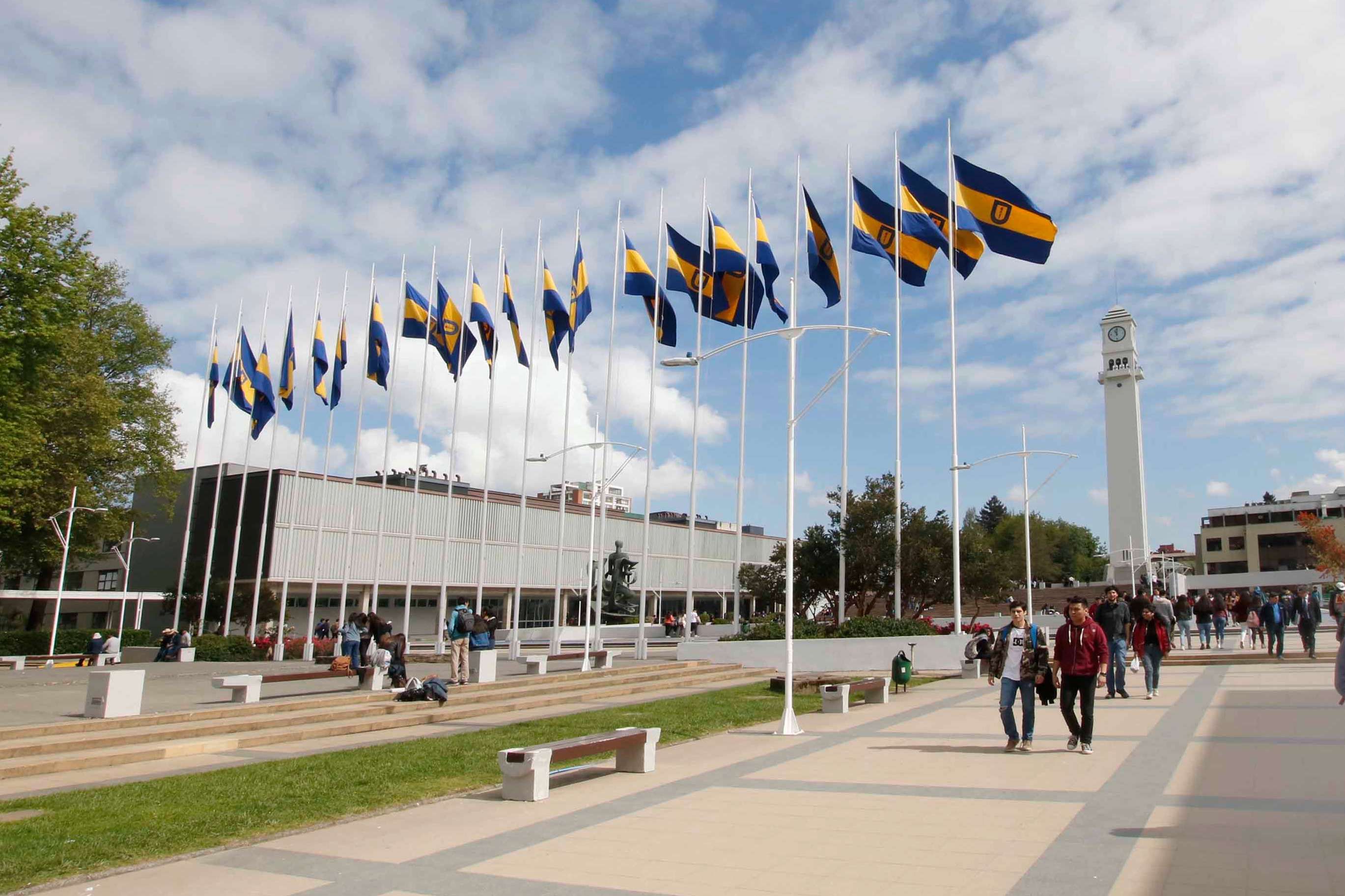 UdeC anuncia exitosos resultados del Concurso de Profesores y Profesoras Visitantes de Postgrado para la Escuela de Verano 2026