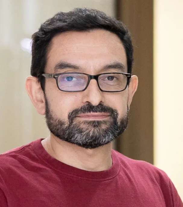 Director del programa